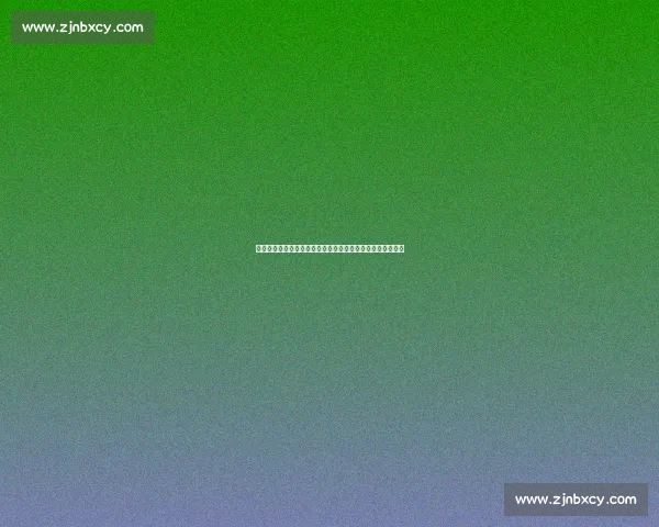 毕巴门神阿吉雷萨瓦拉租借加盟瓦伦西亚，含非强制买断条款