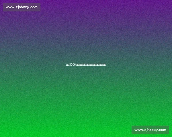 以vS206为核心的智能系统架构演进与应用价值研究探索