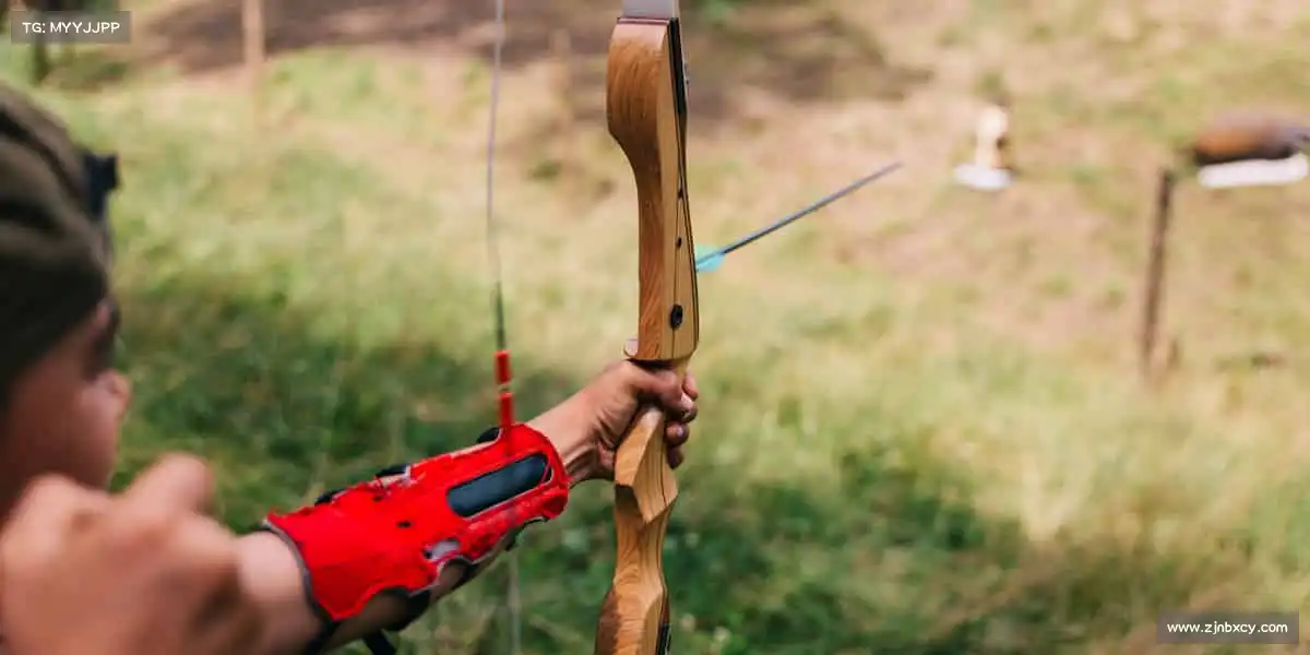 行业领先的理由